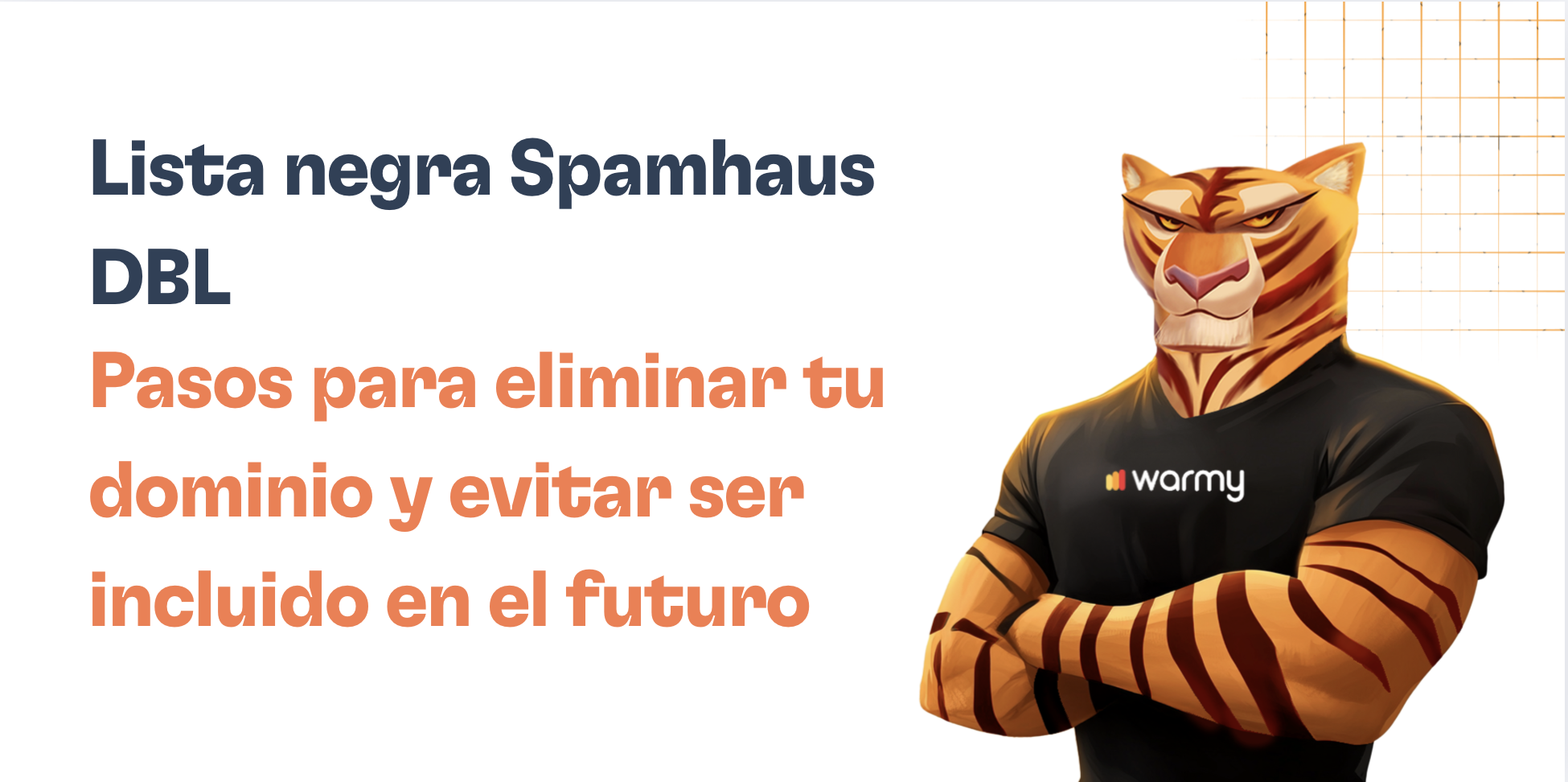 A muscular cartoon tiger in a black warmy shirt stands with folded arms. The text reads: Lista negra Spamhaus DBL. Pasos para eliminar tu dominio de la Spamhaus y evitar ser incluido en el futuro.