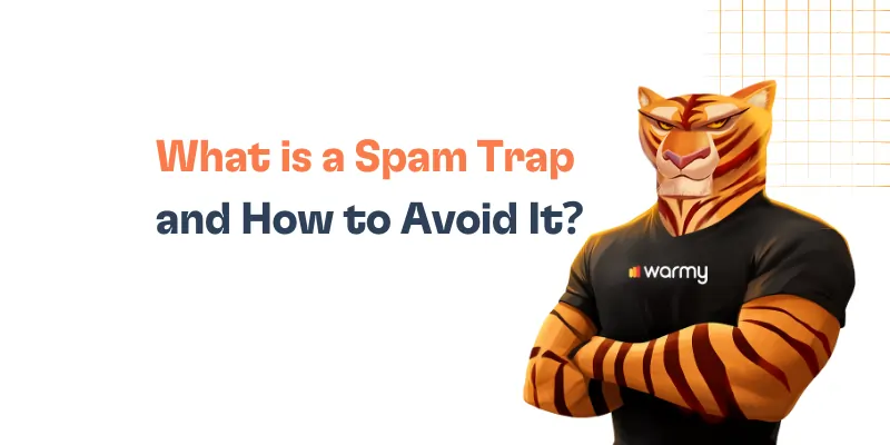What is a Spam Trap and How to Avoid It? 20 Spam Trap